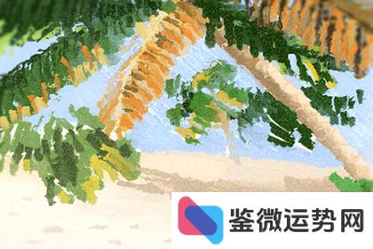 飞鱼跃出海面