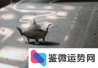 不会给关系面子，被冒犯就敢直接怼的星座是哪些？