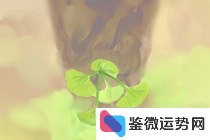 2024年处女座运势揭秘：是好运连连还是挑战重重？